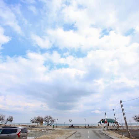 Premium Studios Mamaia Nord - Marea La 50M ナボダリ エクステリア 写真
